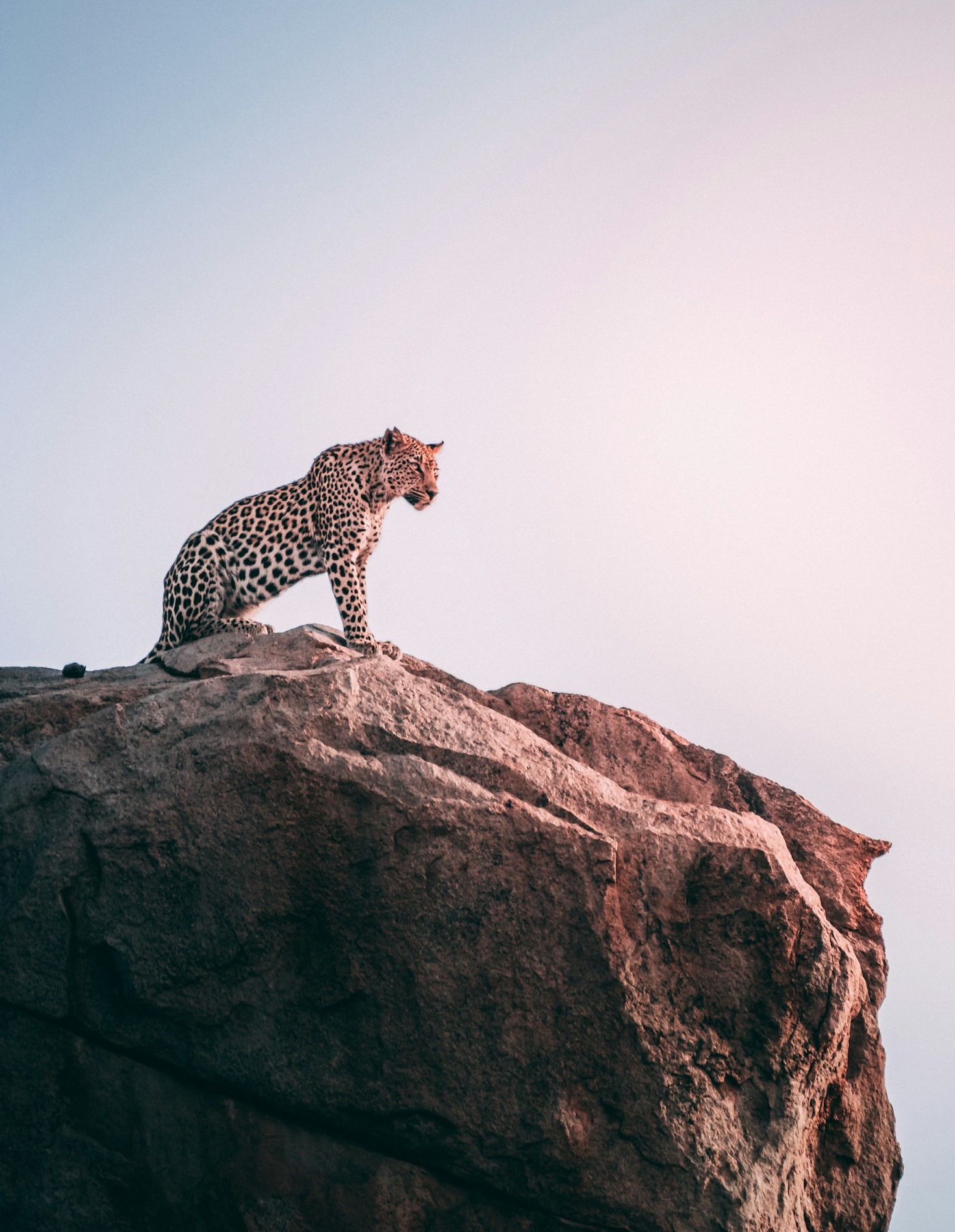 The Top Wildlife Photography Destinations Worldwide