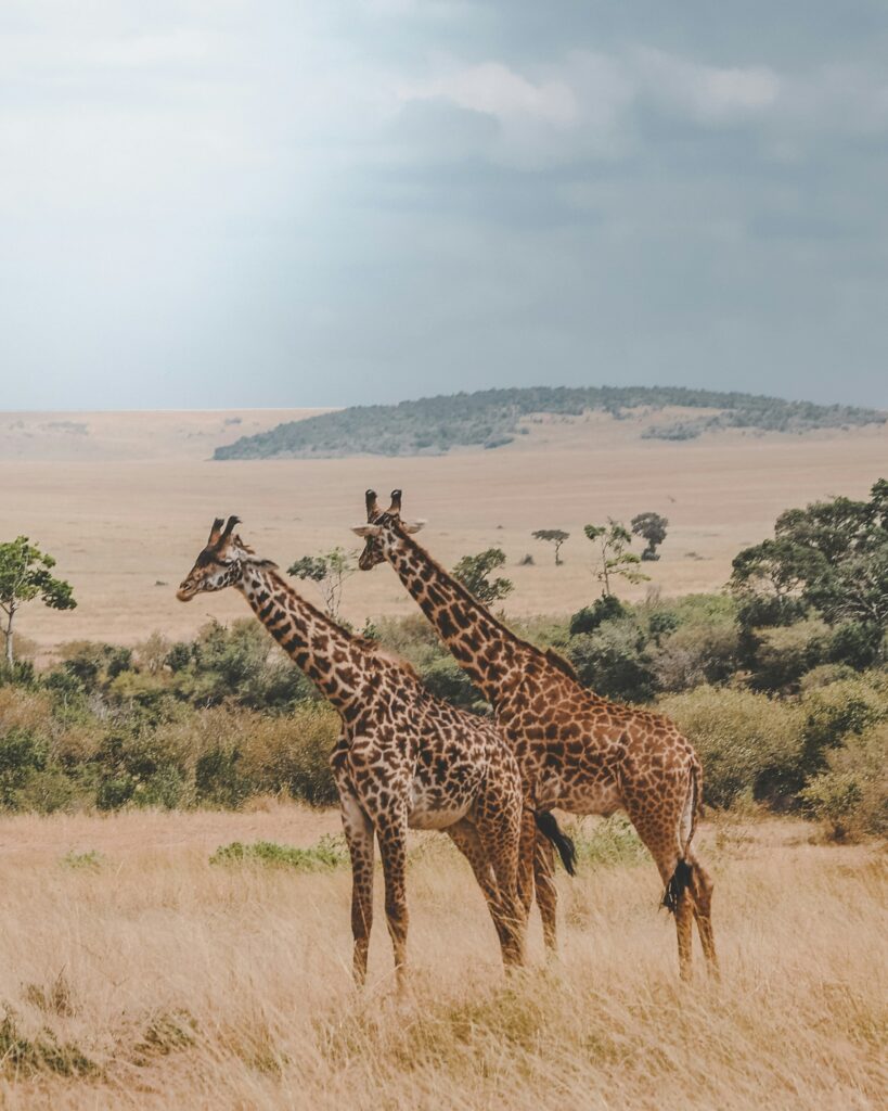 Hello World Featured Image