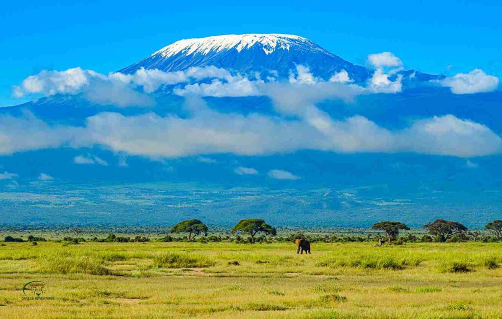 divulge adventures amboseli national park (114) 8 11zon